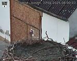 Capi_Dubne_20250131_080003.jpg