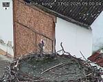 Capi_Dubne_20250131_090004.jpg