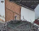 Capi_Dubne_20250131_100004.jpg