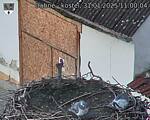 Capi_Dubne_20250131_110004.jpg