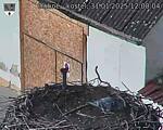 Capi_Dubne_20250131_120004.jpg