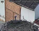 Capi_Dubne_20250131_130004.jpg