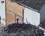 Capi_Dubne_20250131_140004.jpg