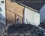 Capi_Dubne_20250131_160004.jpg