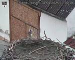 Capi_Dubne_20250131_170004.jpg