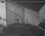 Capi_Dubne_20250131_180003.jpg