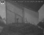 Capi_Dubne_20250131_200003.jpg