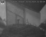 Capi_Dubne_20250131_210004.jpg