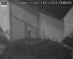 Capi_Dubne_20250131_230003.jpg