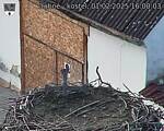Capi_Dubne_20250201_160003.jpg