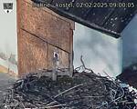 Capi_Dubne_20250202_090005.jpg