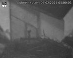 Capi_Dubne_20250206_050003.jpg