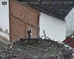 Capi_Dubne_20250212_170004.jpg