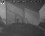 Capi_Dubne_20250213_030002.jpg