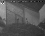 Capi_Dubne_20250214_020003.jpg
