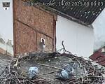Capi_Dubne_20250214_080003.jpg