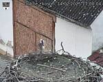 Capi_Dubne_20250214_170004.jpg