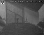 Capi_Dubne_20250214_210003.jpg
