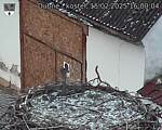 Capi_Dubne_20250215_160004.jpg