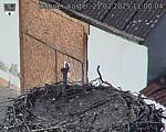 Capi_Dubne_20250221_110004.jpg
