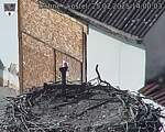 Capi_Dubne_20250225_140003.jpg