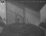Capi_Dubne_20250301_030003.jpg