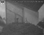 Capi_Dubne_20250301_060002.jpg