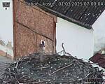Capi_Dubne_20250301_070004.jpg