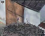 Capi_Dubne_20250301_090003.jpg