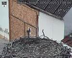 Capi_Dubne_20250301_130004.jpg