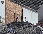 Capi_Dubne_20250301_140004.jpg