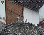Capi_Dubne_20250301_170004.jpg