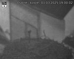 Capi_Dubne_20250301_190002.jpg
