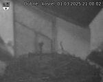 Capi_Dubne_20250301_210002.jpg