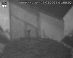 Capi_Dubne_20250302_010002.jpg