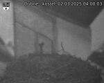Capi_Dubne_20250302_040003.jpg