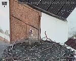Capi_Dubne_20250302_070004.jpg