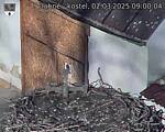 Capi_Dubne_20250302_090004.jpg