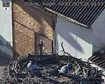 Capi_Dubne_20250302_160003.jpg