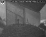 Capi_Dubne_20250302_190003.jpg