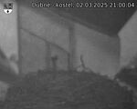 Capi_Dubne_20250302_210004.jpg