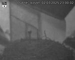 Capi_Dubne_20250302_230002.jpg