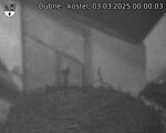 Capi_Dubne_20250303_000003.jpg