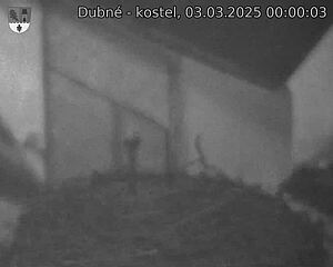 Capi_Dubne_20250303_000003.jpg (1350 x 1080)