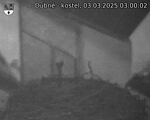 Capi_Dubne_20250303_030002.jpg