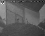 Capi_Dubne_20250303_050003.jpg