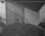 Capi_Dubne_20250303_060003.jpg