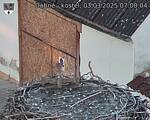 Capi_Dubne_20250303_070004.jpg