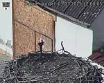 Capi_Dubne_20250303_120005.jpg
