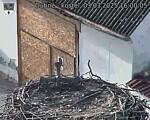 Capi_Dubne_20250303_160005.jpg